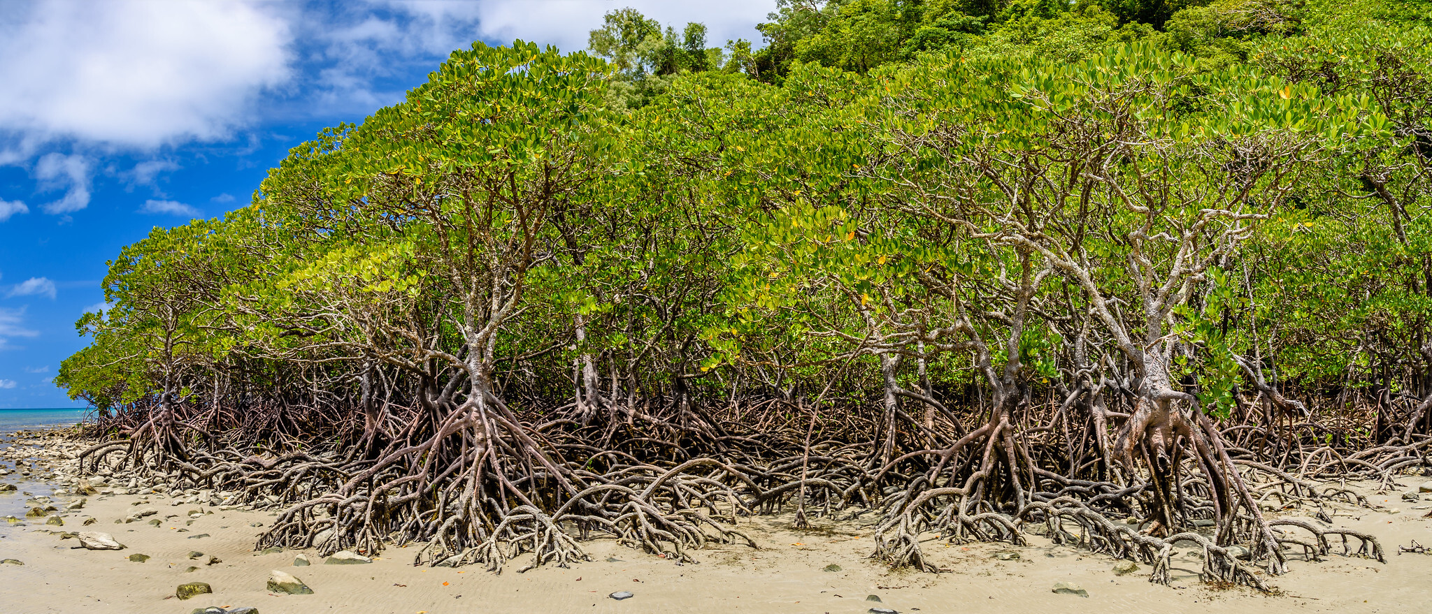 ©David Unger/Flickr