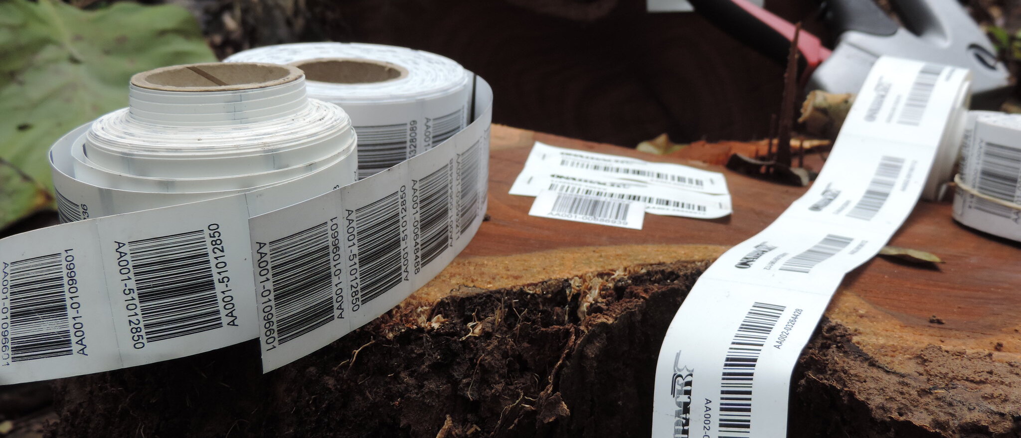 Forest law enforcement ©FAO/Jerome Laporte