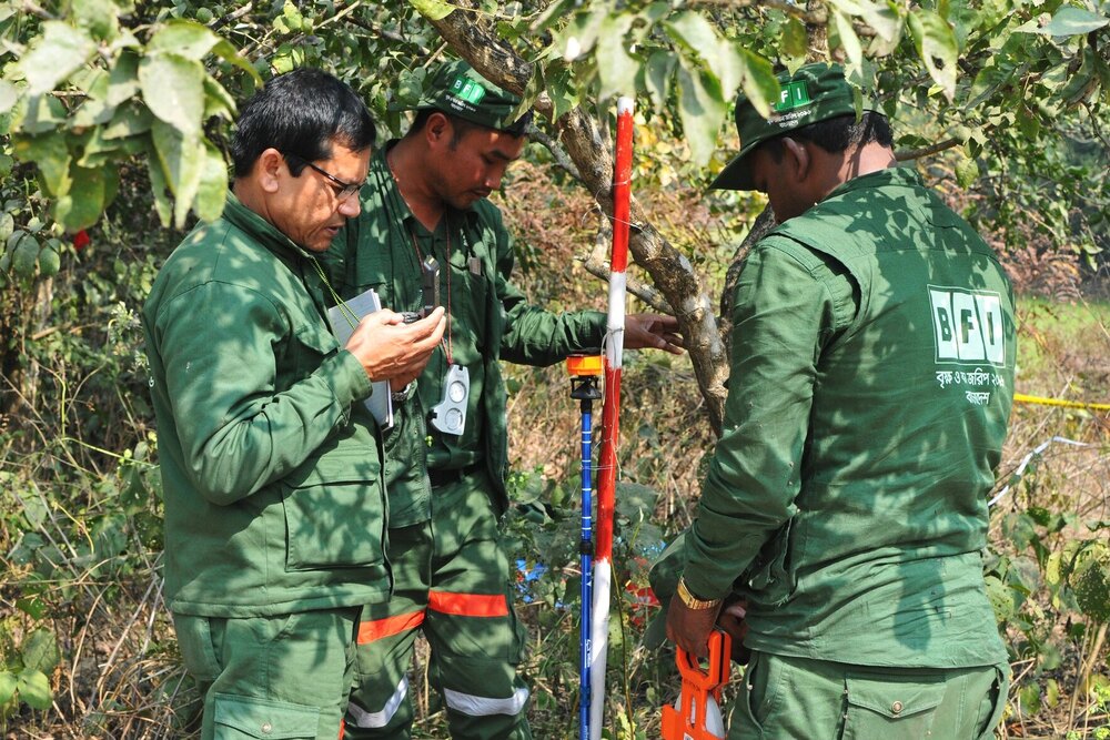 Silviculture in natural forests ©FAO/Mondal Falgoonee Kumar