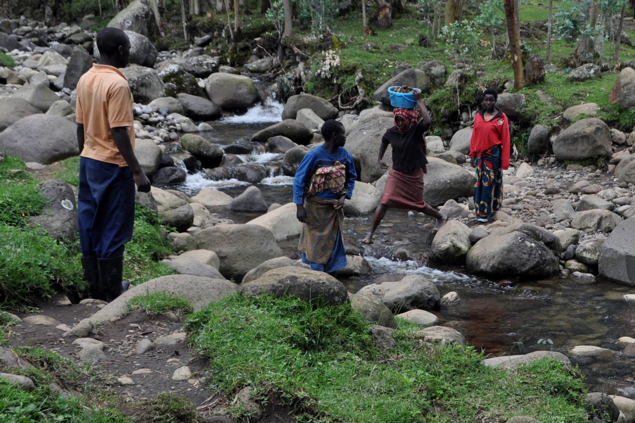 Rwanda villagers crossing a stream ©FAO/Steve Terrill