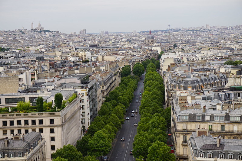Europe, Paris, France - Trees and city © FAO/Yujuan Chen