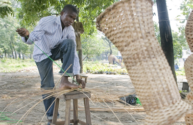 Développement des entreprises forestières