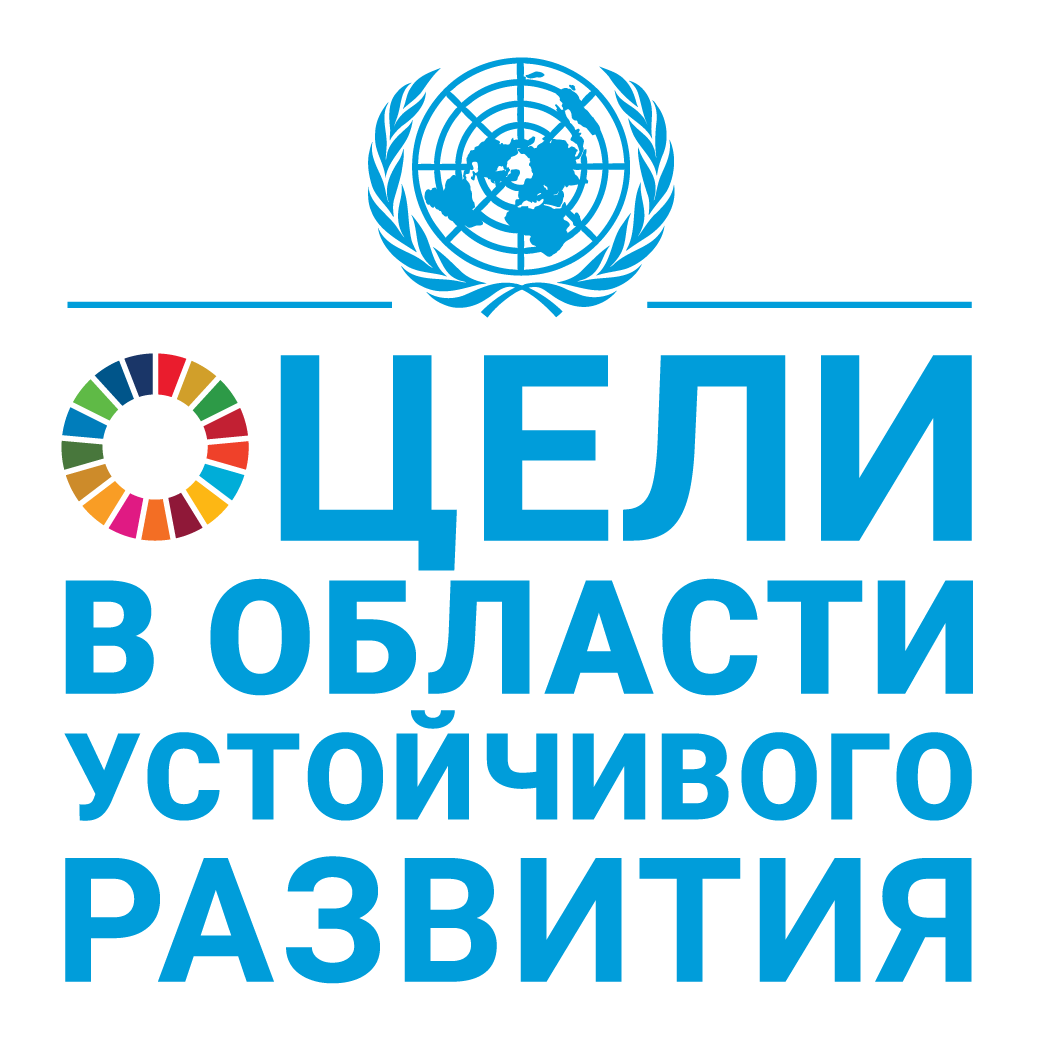R SDG logo with UN Emblem_Square_WEB