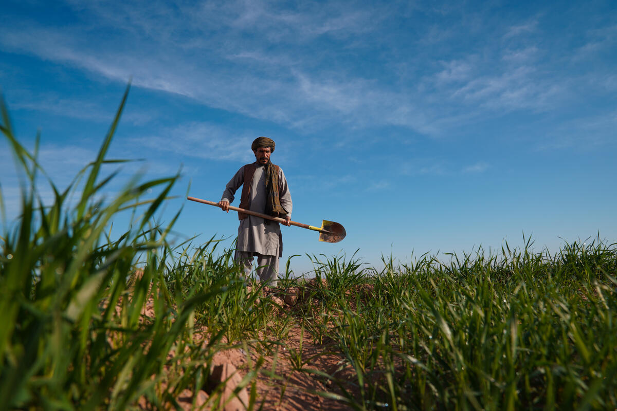 Addressing Land Degradation For A Sustainable Future FAO addressing-land-degradation-for-a-sustainable-future-fao