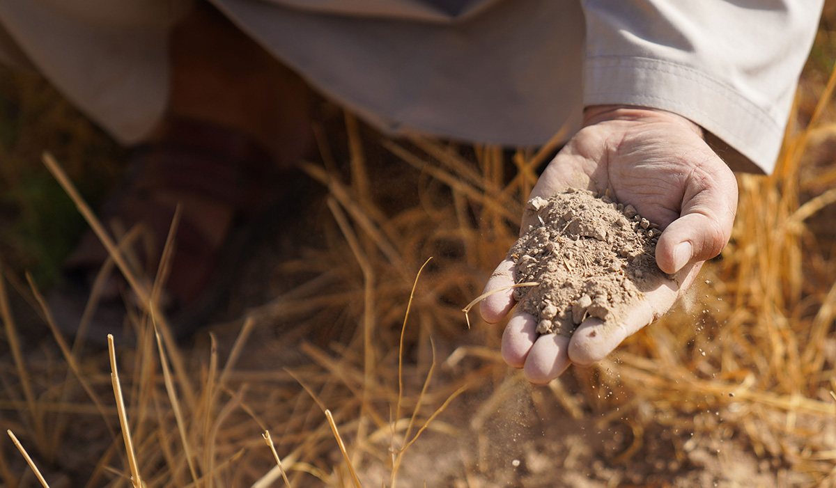 Addressing Land Degradation for a Sustainable Future – Food and Agriculture Organization