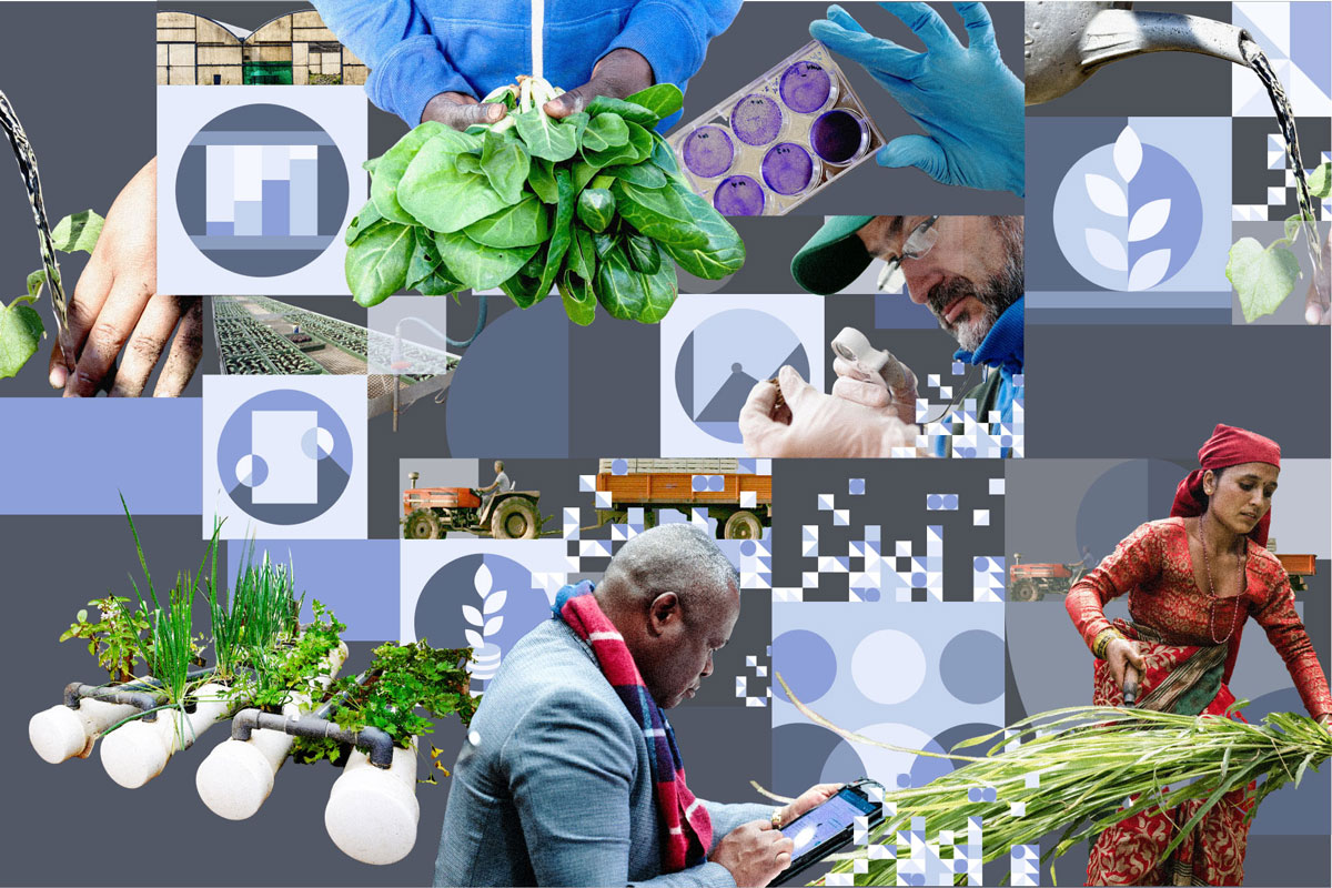 Roth Fao FAO Investment Centre | FAO