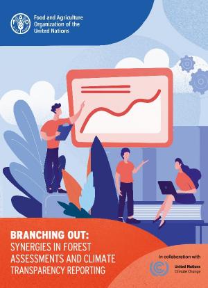 Branching out: Synergies in forest assessments and climate transparency reporting