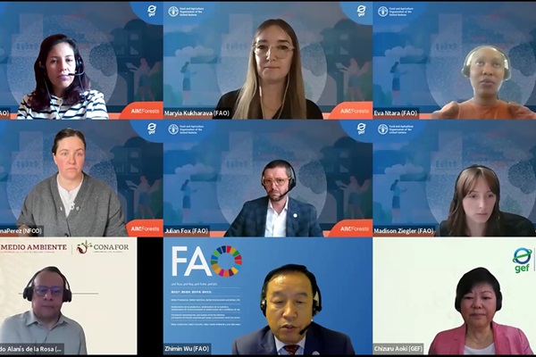 Renforcement de la transparence des données forestières mondiales pour l'action climatique