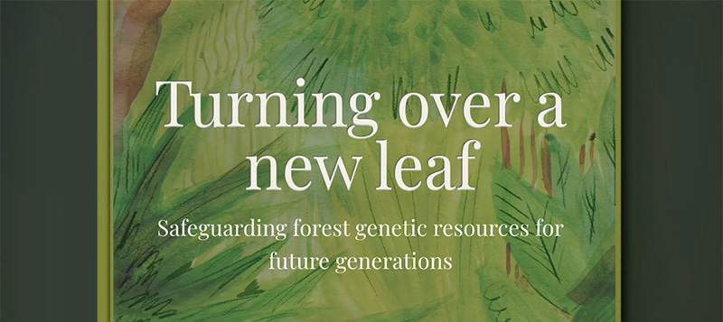 Turning over a new leaf