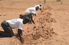 Vulnerability Maps Card