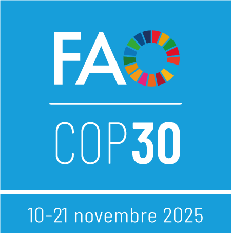 cop30-side cop30-side