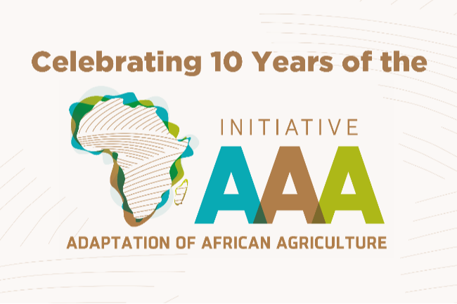 Celebrating 10 Years of the AAA Initiative