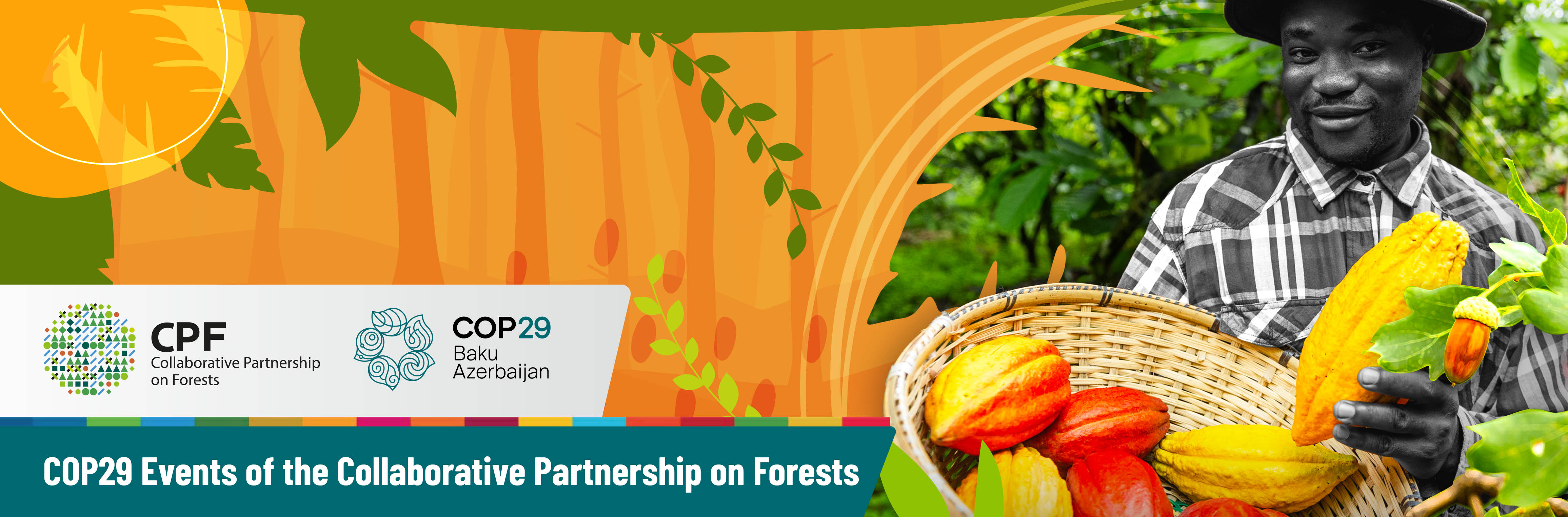 Collaborative Partnership on Forests at COP29