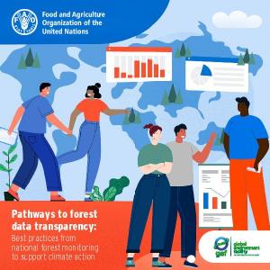 Pathways to forest data transparency