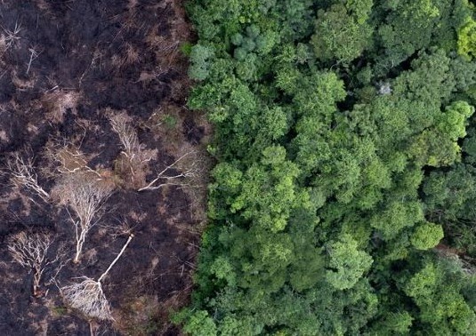 deforestation-releases-carbon-into-the-atmosphere-which-fuels-climate-change-and-further-harms-forests-fao-felipe-rodriguez.tmb-th600x400