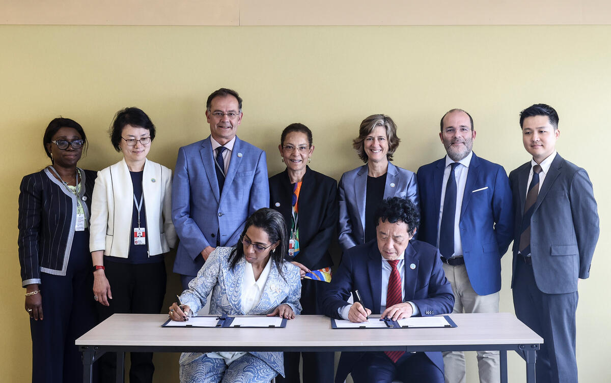 ©FAO/Alessandra Benedetti