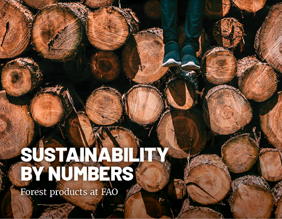 Counting the forest's benefits