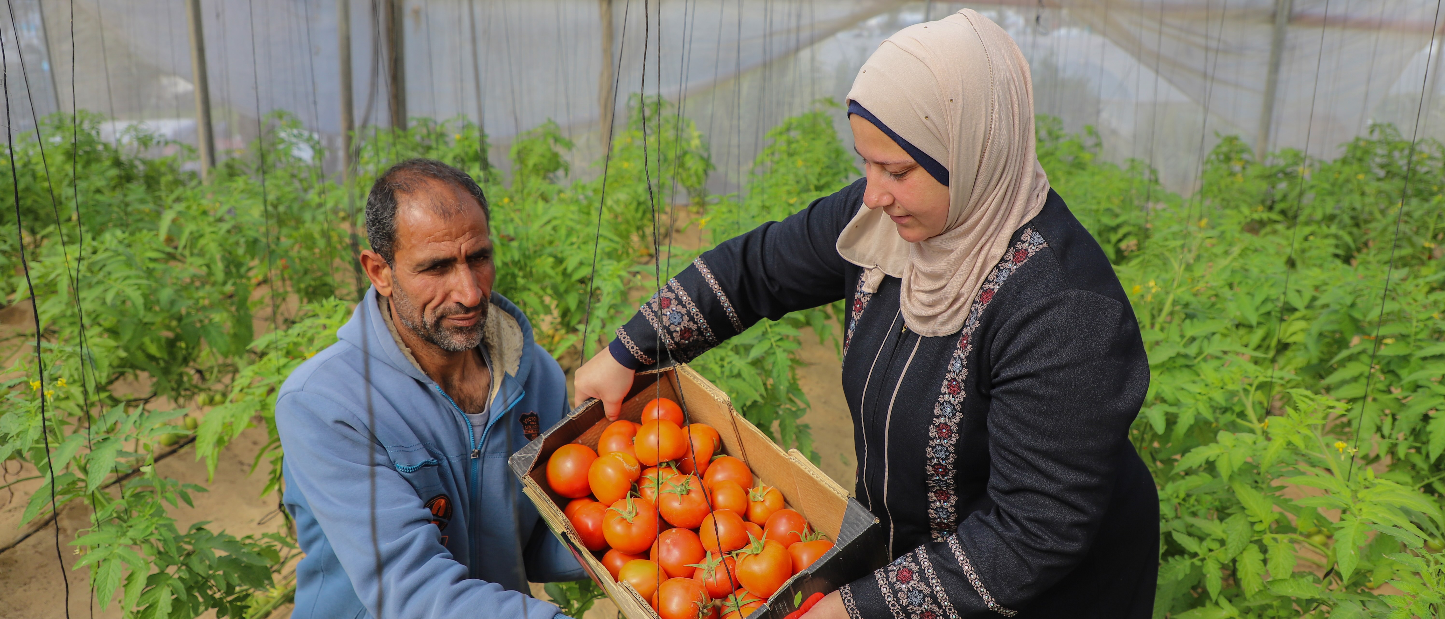 Gender and emergencies and resilience building | Gender | Food and ...