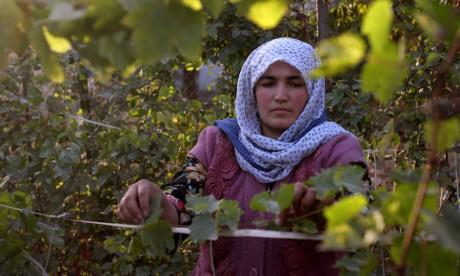 How to bolster the rights and potential of rural women in agriculture