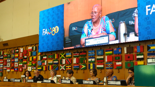 CFS Chairperson at the launch of the HLPE-FSN report CFS Chairperson at the launch of the HLPE-FSN report