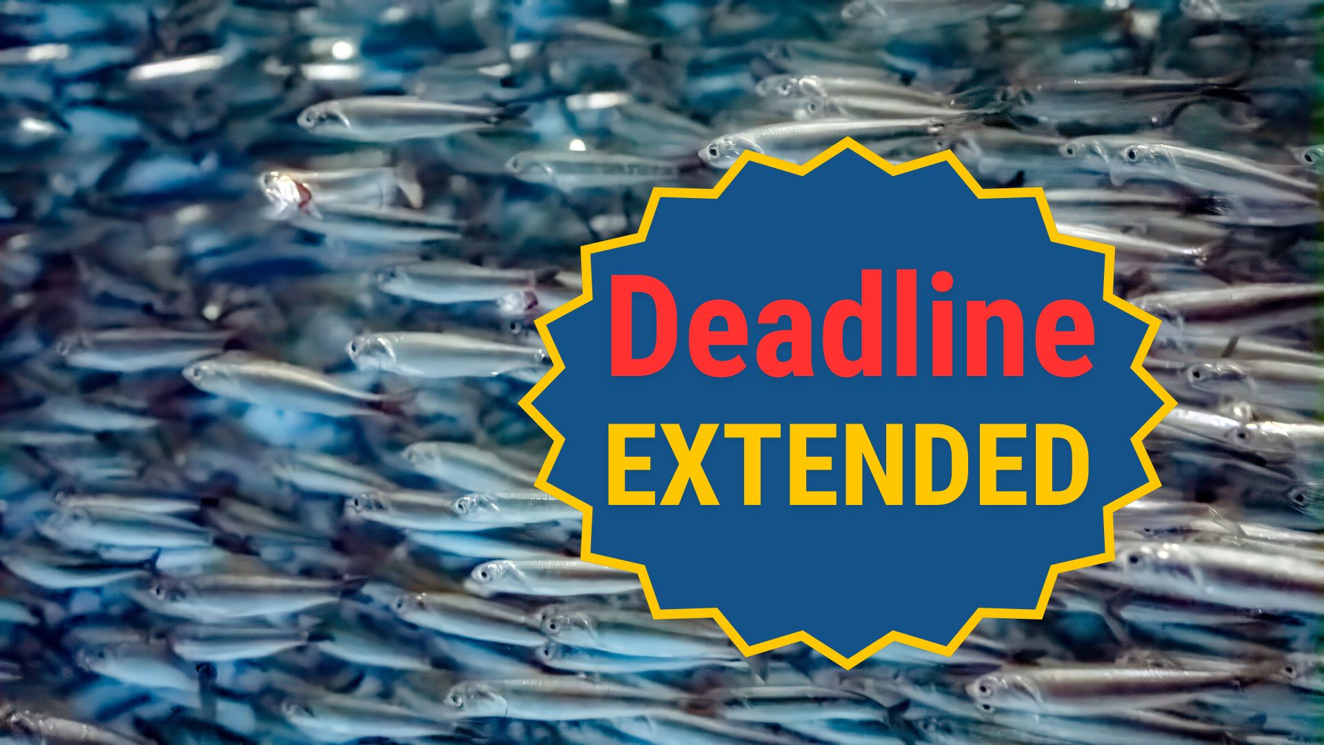 Deadline extended