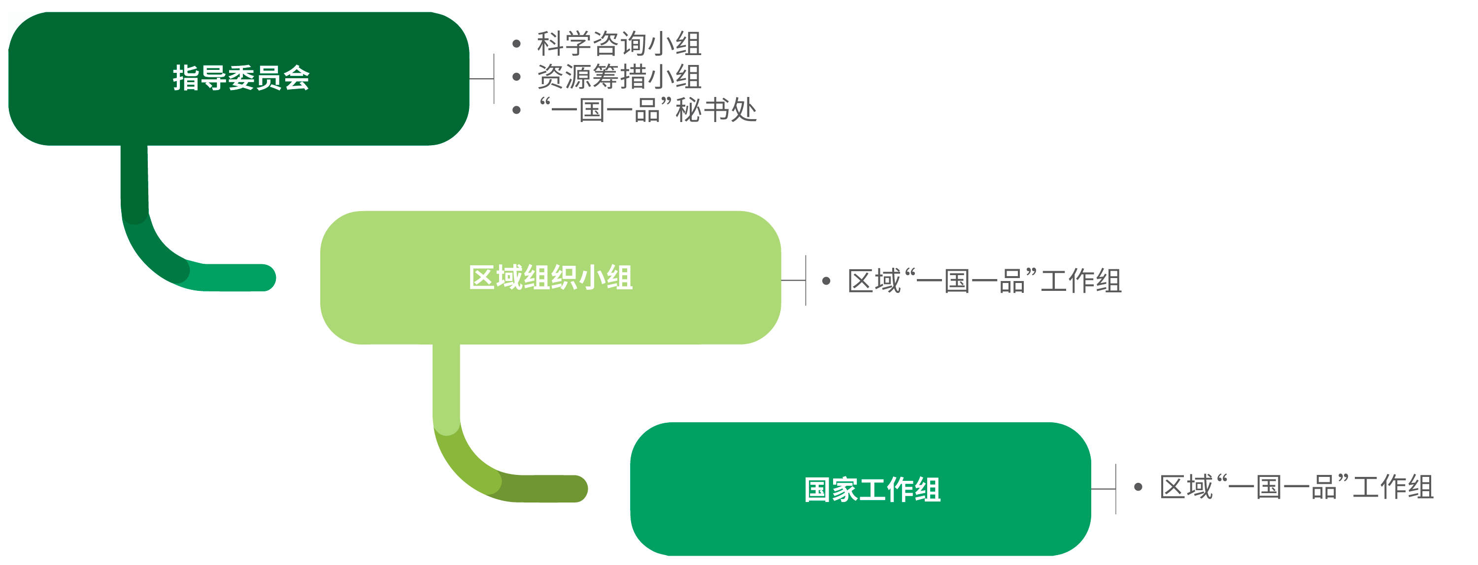 Coordination and implementation of the OCOP