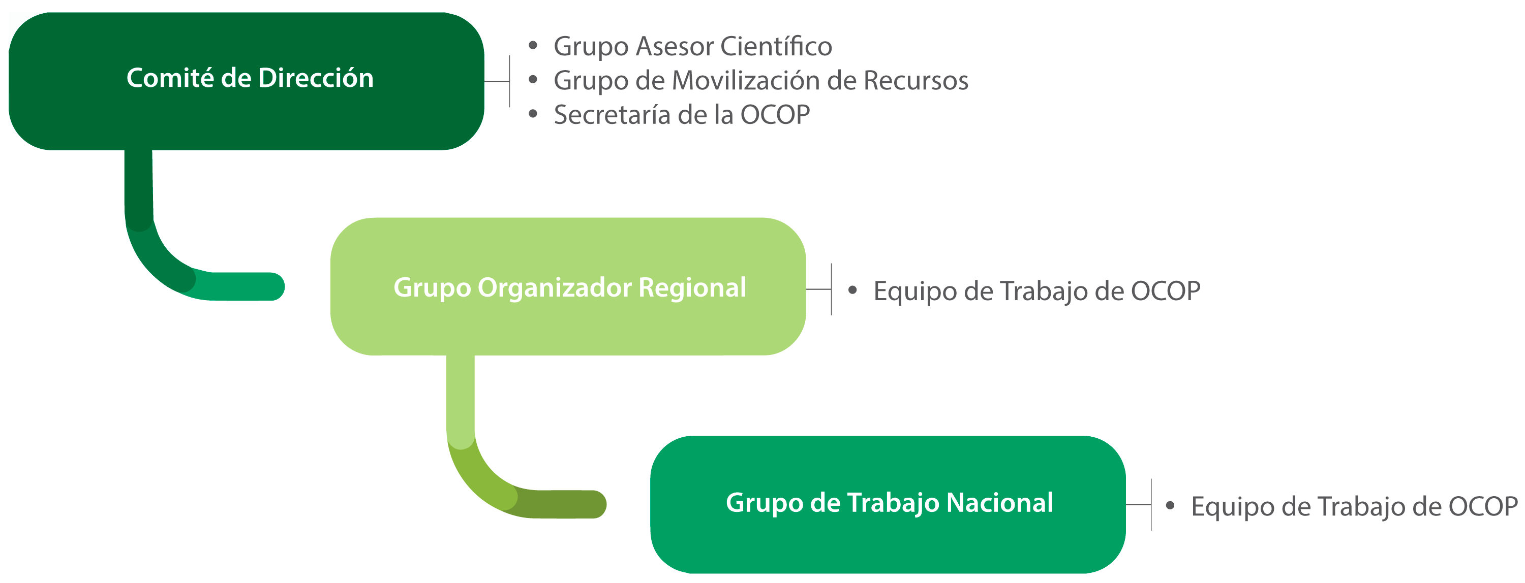 Coordination and implementation of the OCOP