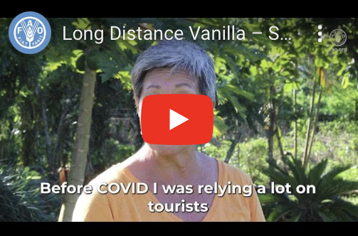 Long Distance Vanilla in Samoa