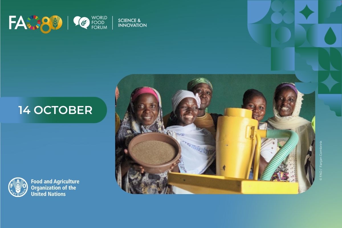 UN 2.0 Quintet of Change