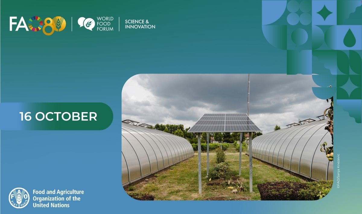 AI-Driven Transformation