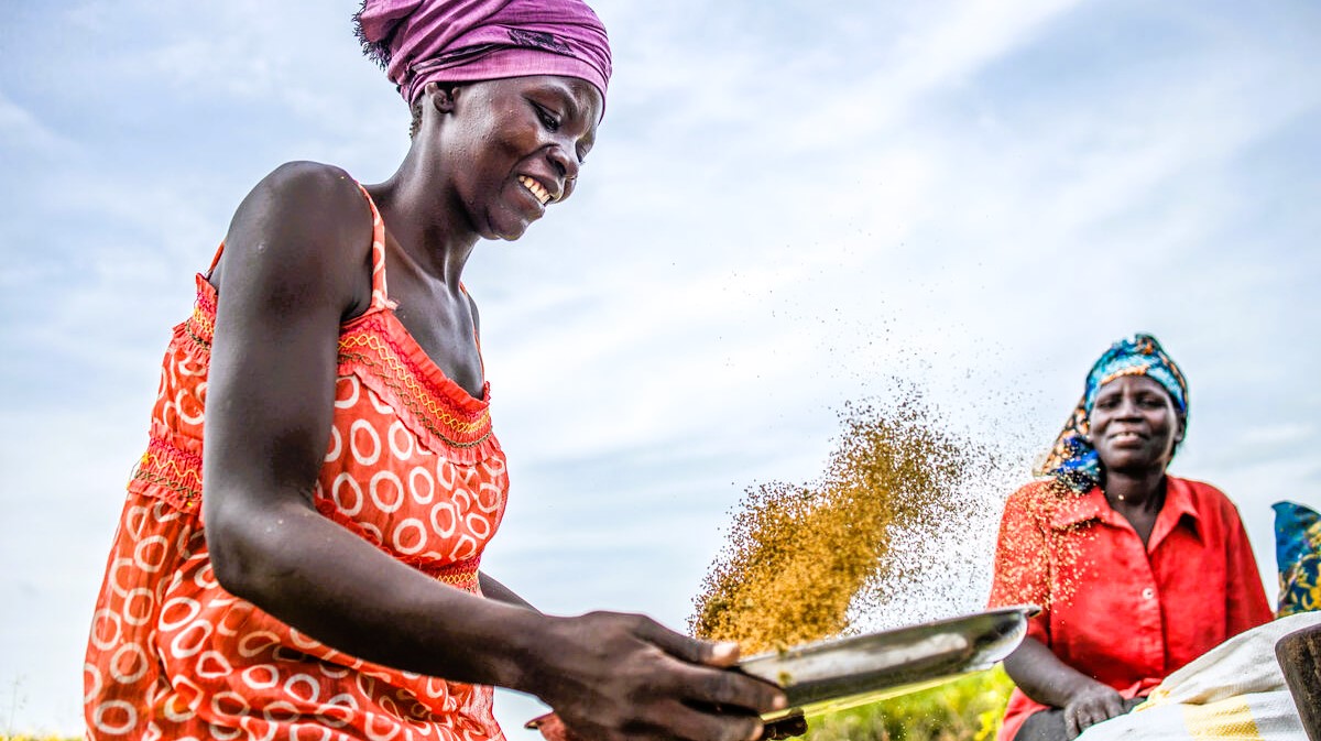 STOSAR_web Woman farmer winnowing grain