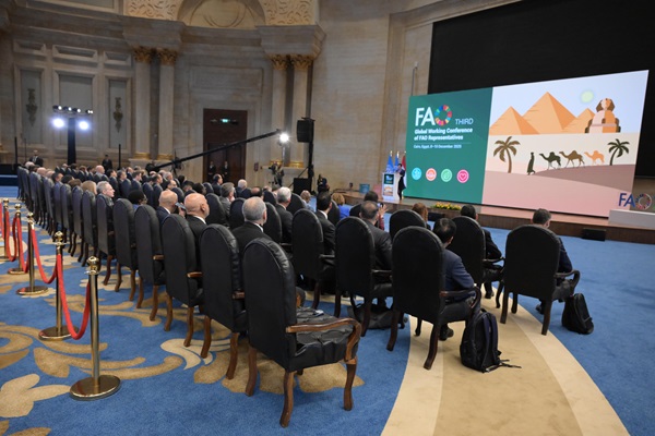 ©️FAO/Ahmed Elsheemy