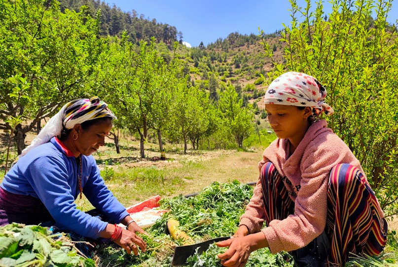 Building resilient rural futures in Nepal's mountains: Turning migration into a choice