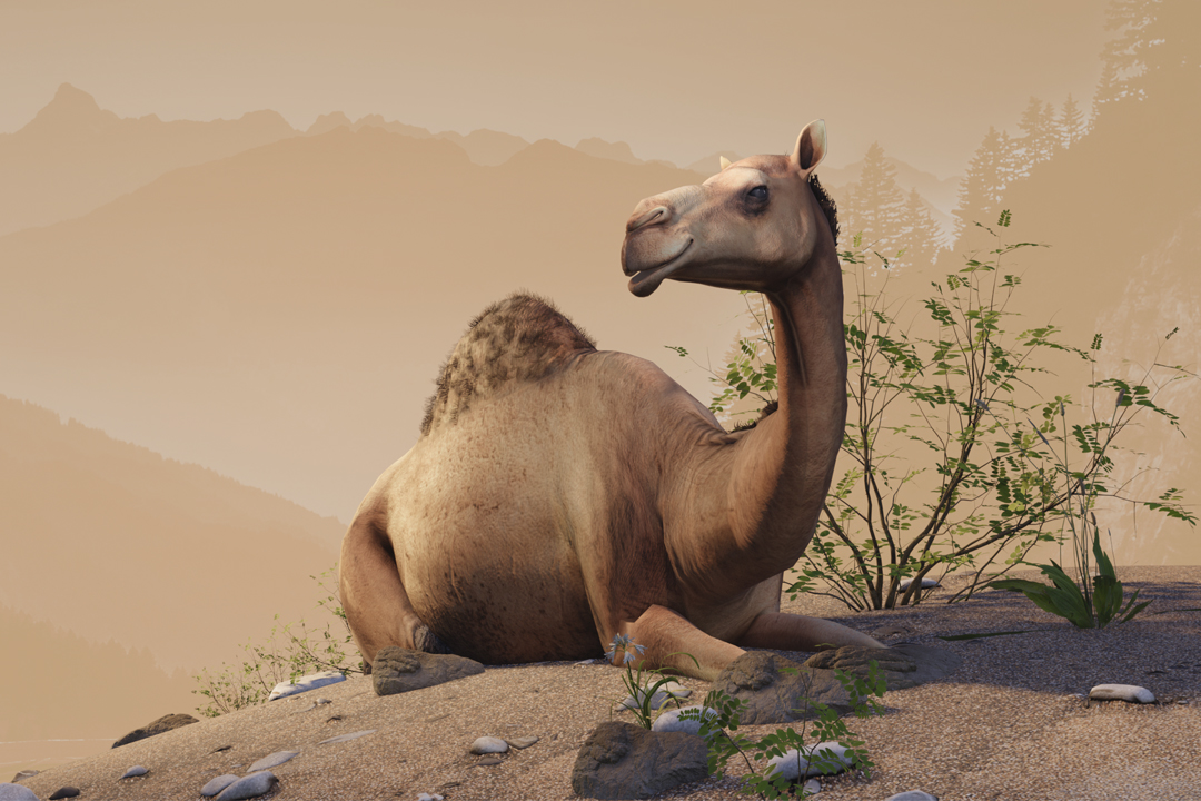 بطال الصحاري والمرتفعات" قصة تفاعلية"