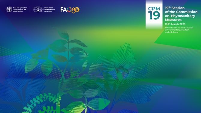 Systems Approach: Principles, practical tools, and an upcoming IPPC Workshop