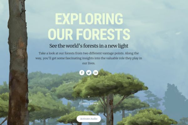 Exploring-our-forests