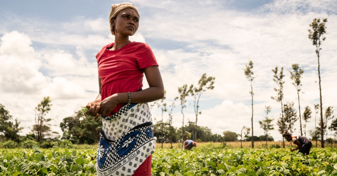 FAO/Fredrik Lerneryd