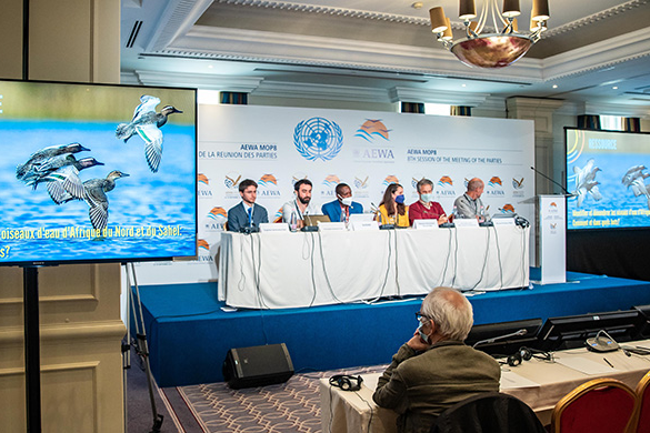 8e session de la réunion des parties à l