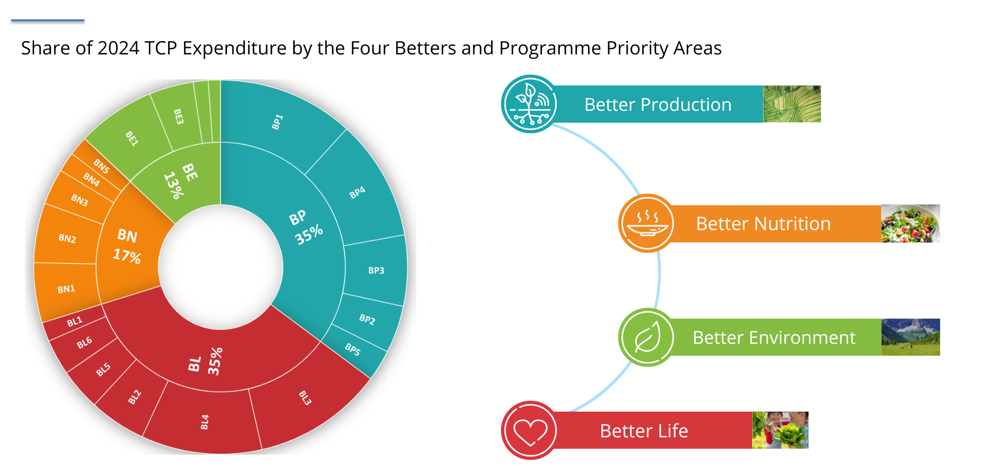 Share of 2022 TCP Expenditure by the Four Betters and Programme Priority Areas (42)