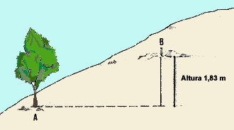 Resultado de imagen para nivelación