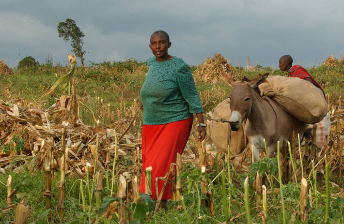 Photo: ©FAO/Ami Vitale