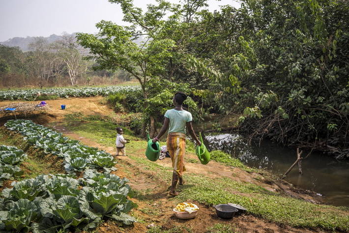 Photo: ©FAO/Sebastian Liste/NOOR