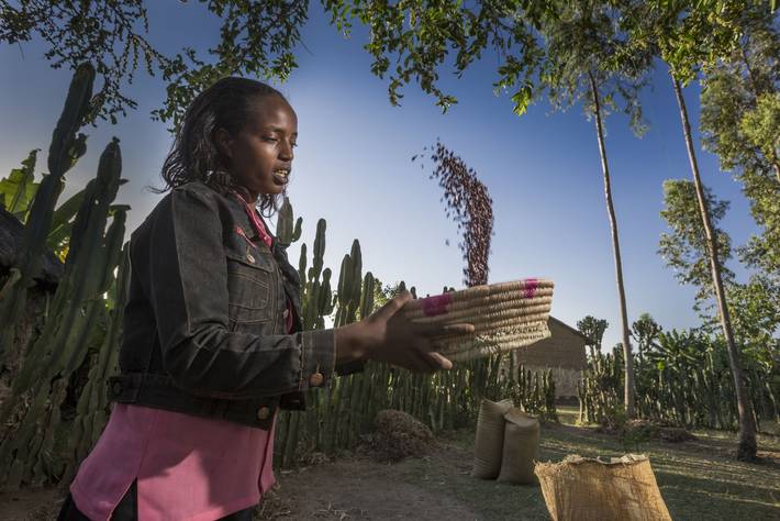 Photo:©FAO/IFAD/WFP/Petterik Wiggers