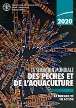 La situation mondiale des pêches et de l’aquaculture 2020