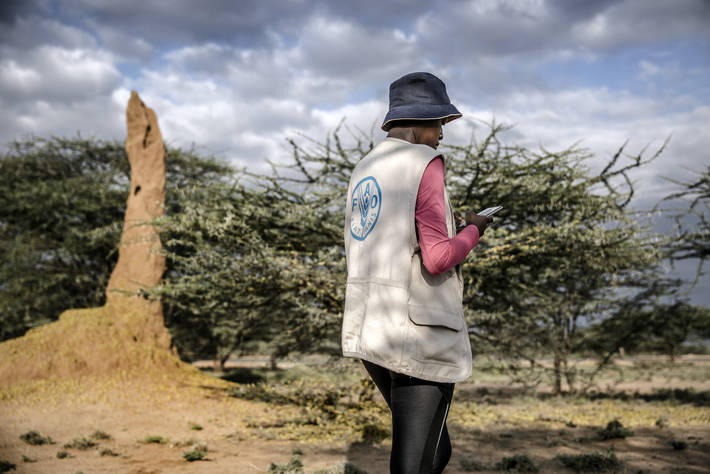 图片: © 粮农组织/Luis Tato