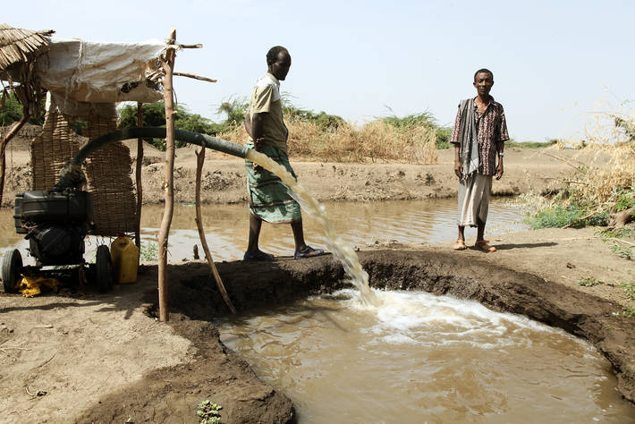 Photo: ©FAO/Tamiru Legesse