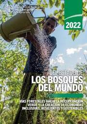 El estado de los bosques del mundo 2020