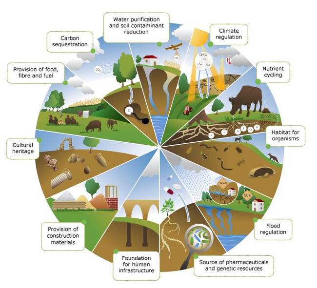 B7 - 1 Sustainable soil and land management and climate change