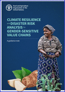 Climate resilience and disaster risk analysis for gender-sensitive value chains