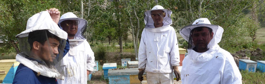 Кыргызстан, 2015г. ©ФАО/Г. Ван дер Валк